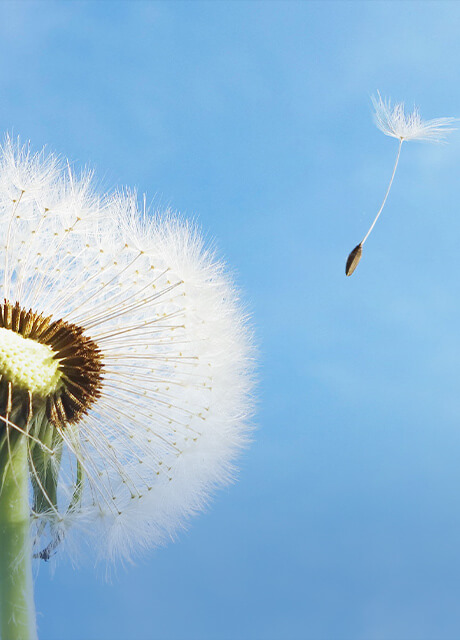 我們的產品品質