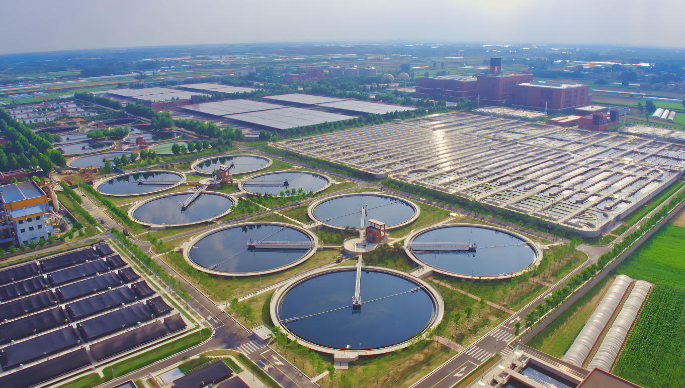 初識安力斯：環保界的